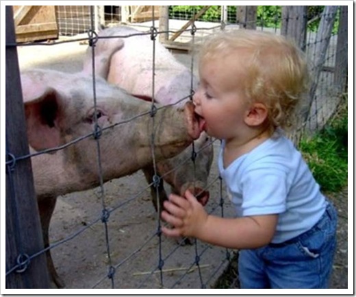 lickApig