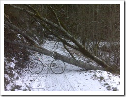 snowfp2