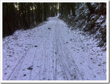 snowfp5